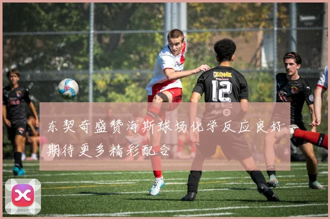 东契奇盛赞海斯球场化学反应良好期待更多精彩配合